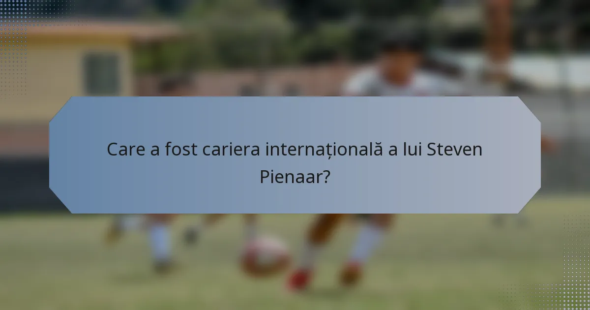 Care a fost cariera internațională a lui Steven Pienaar?