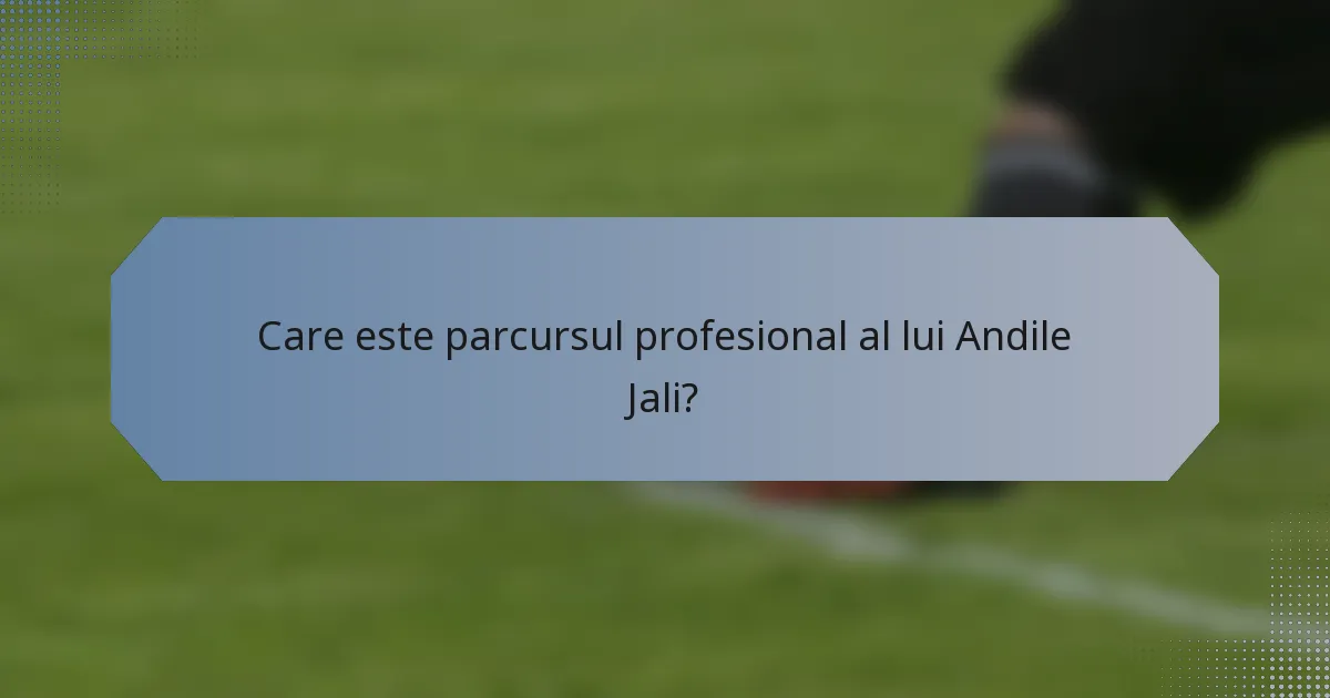 Care este parcursul profesional al lui Andile Jali?