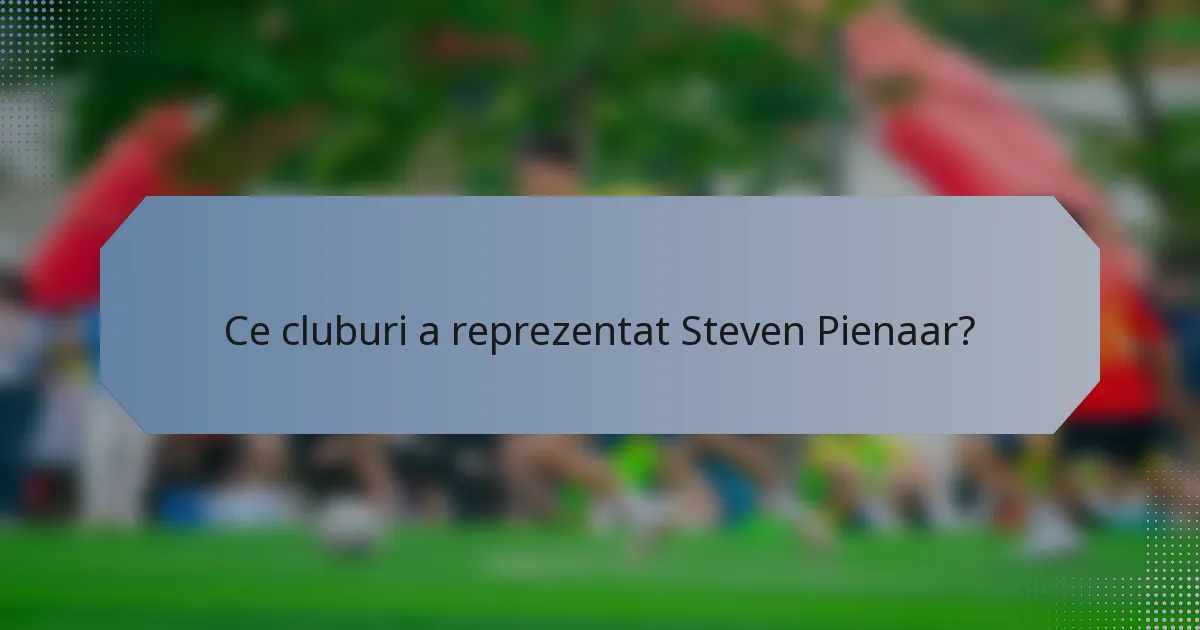 Ce cluburi a reprezentat Steven Pienaar?