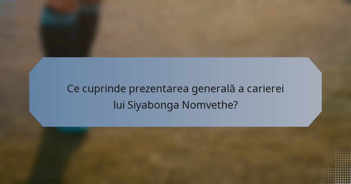 Ce cuprinde prezentarea generală a carierei lui Siyabonga Nomvethe?